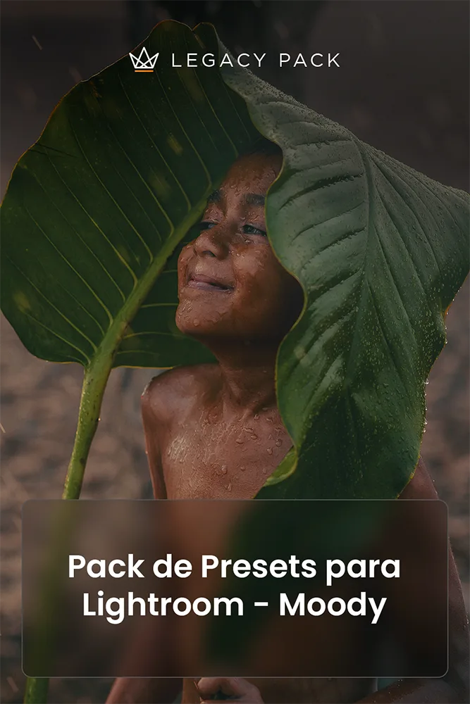 Capa Presets Moody